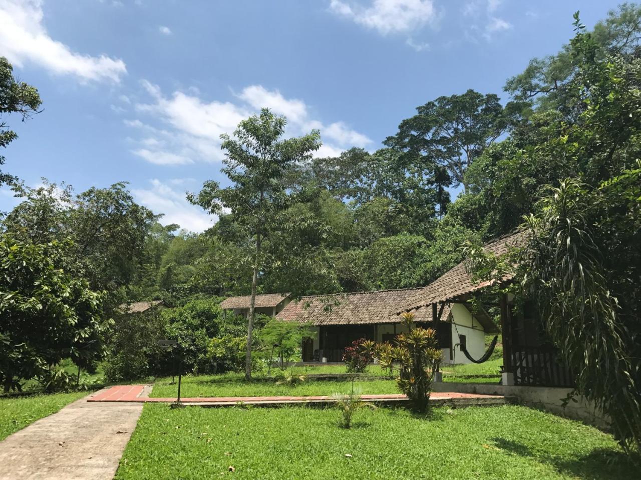 Jungle Lodge El Jardin Aleman 테나 외부 사진